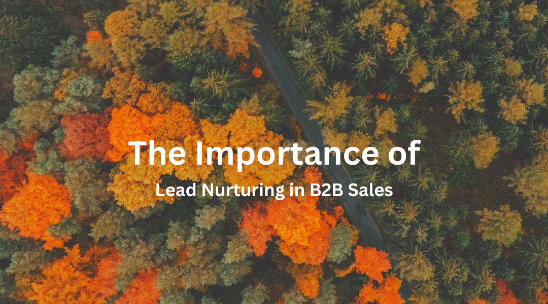 The Importance of Lead Nurturing in B2B Sales